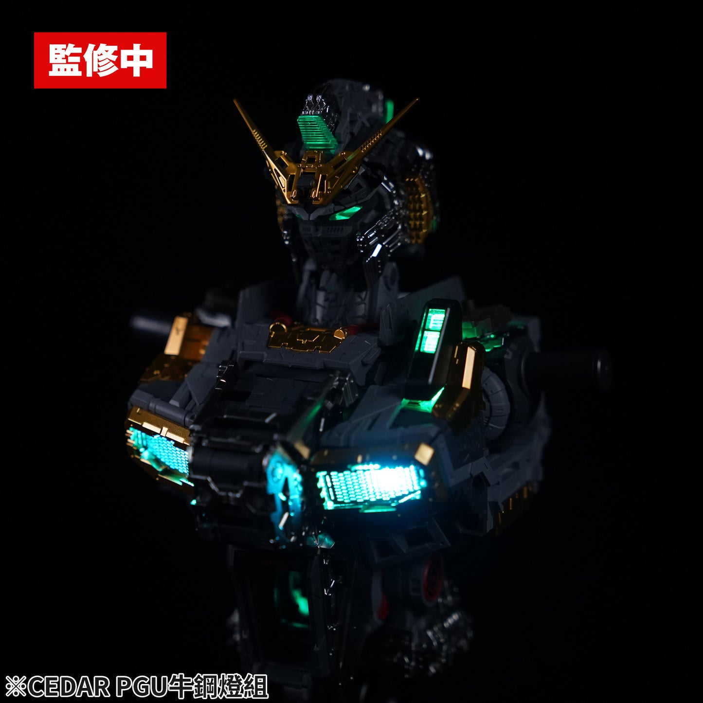 CEDAR-01 LEDs for PGU Nu