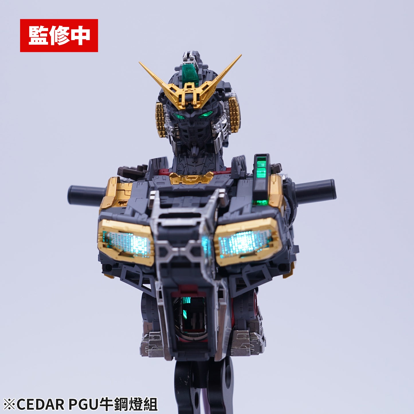 CEDAR-01 LEDs for PGU Nu