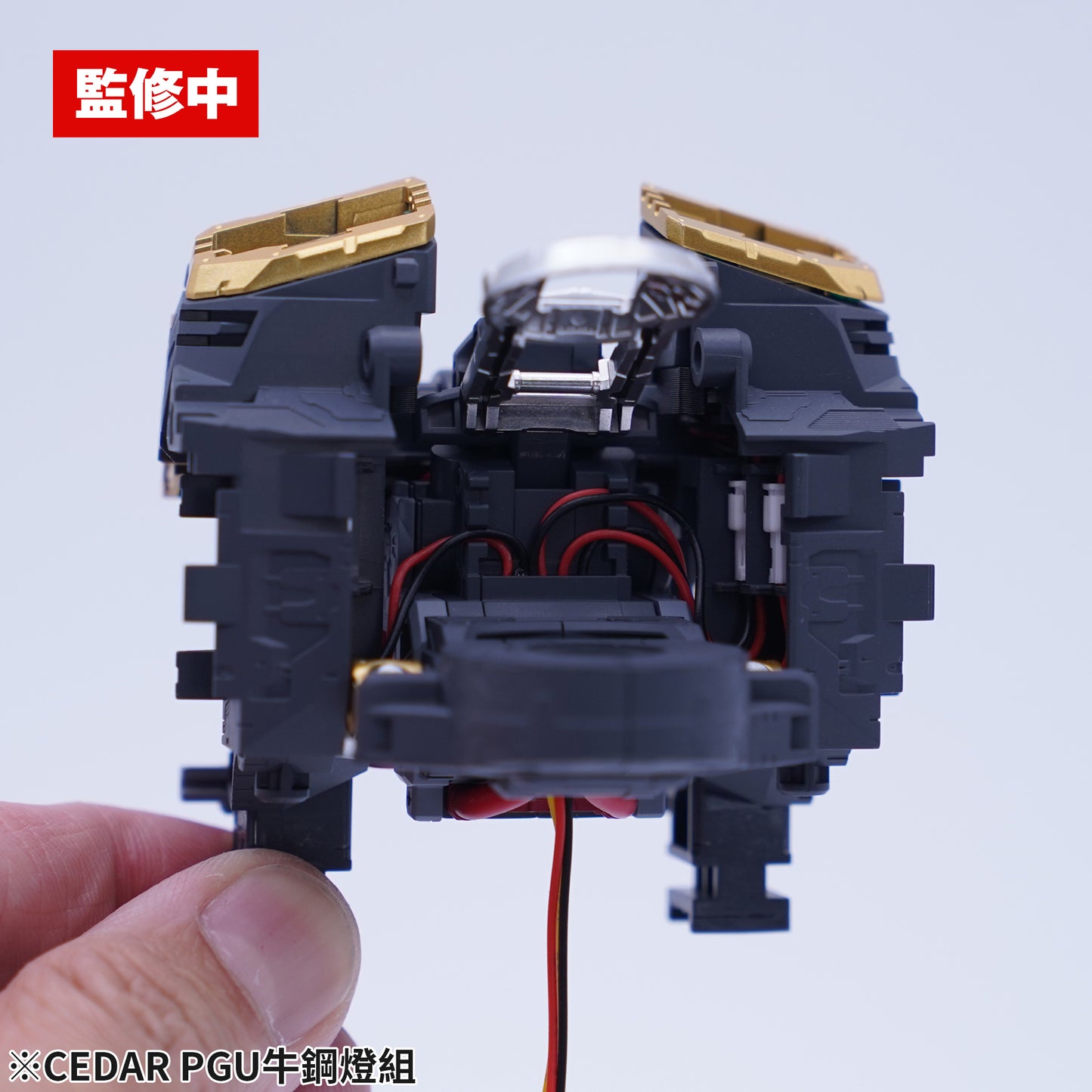 CEDAR-01 LEDs for PGU Nu